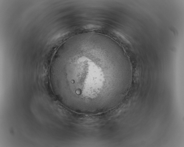 X0000114060917200910191458