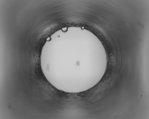 X0000114060918200910191458