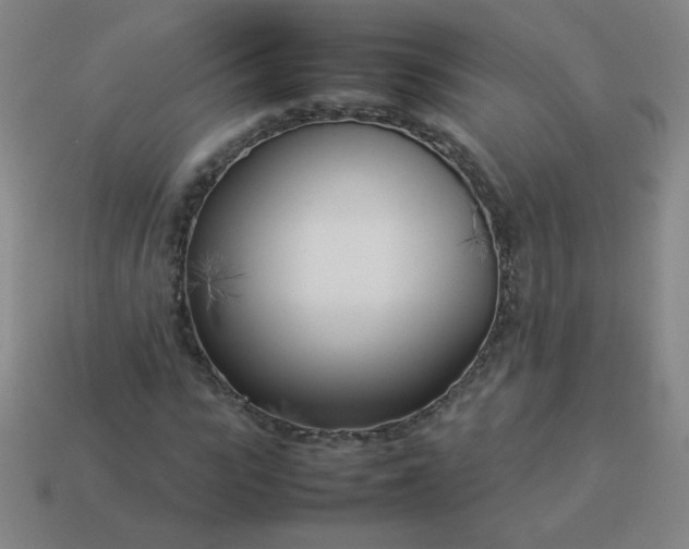 X0000114060919200910191458