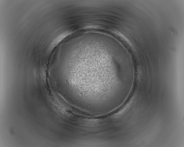 X0000114060921200910191458