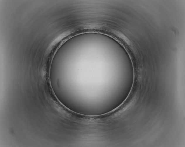 X0000114060922200910191458