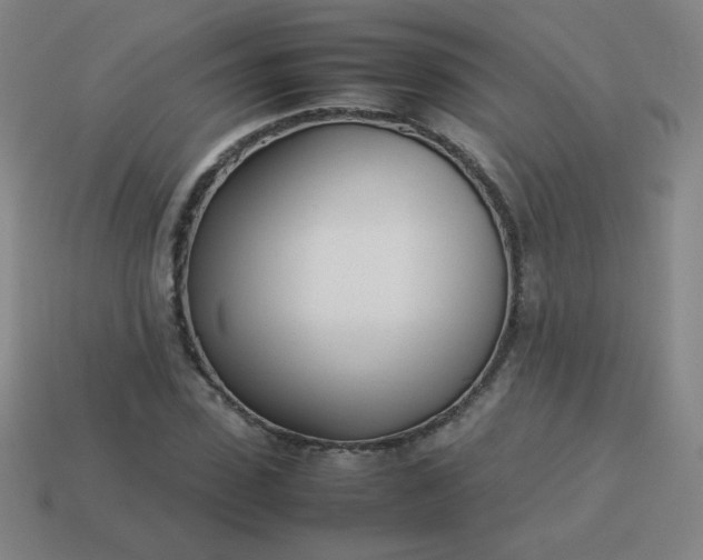 X0000114060923200910191458