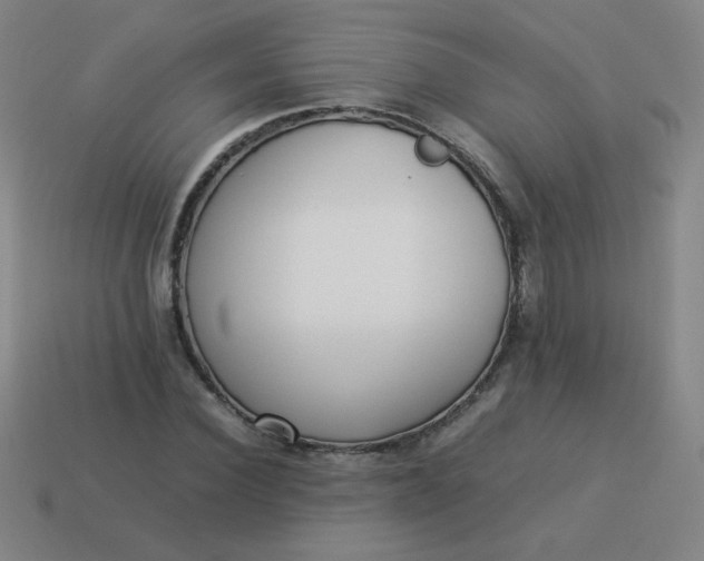 X0000114060924200910191458