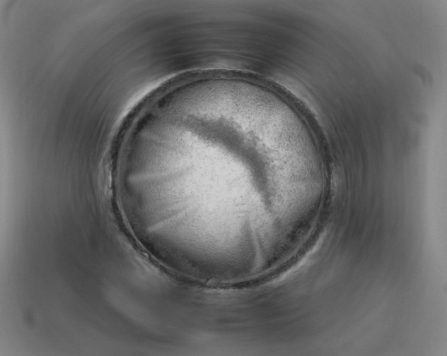 X0000114060925200910191458