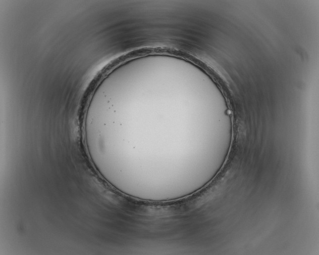 X0000114060927200910191458