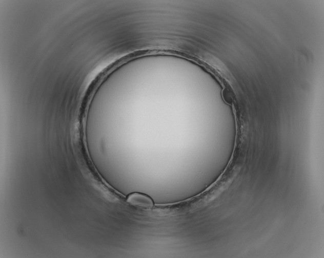 X0000114060928200910191458