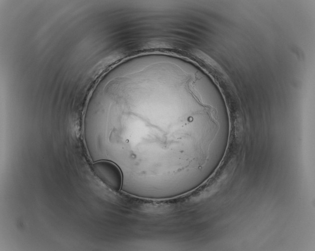 X0000114060929200910191458