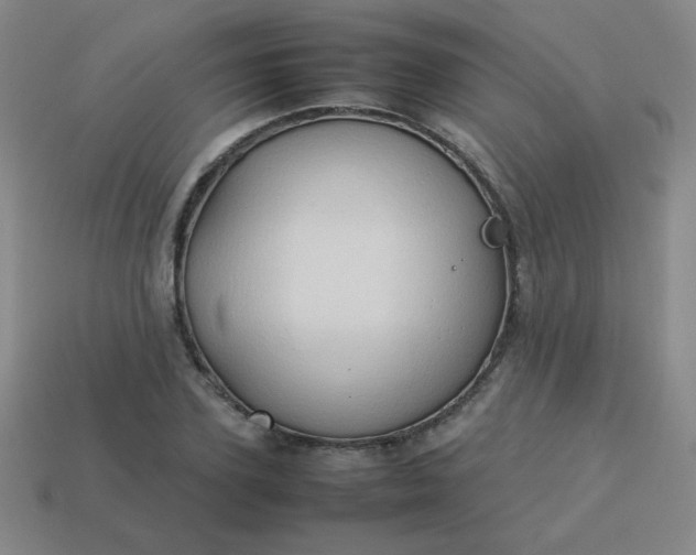 X0000114060931200910191458