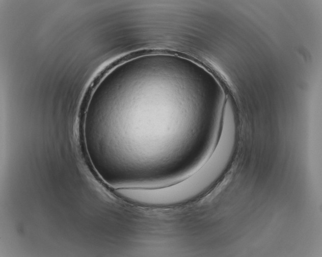 X0000114060932200910191458