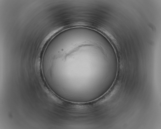 X0000114060933200910191458