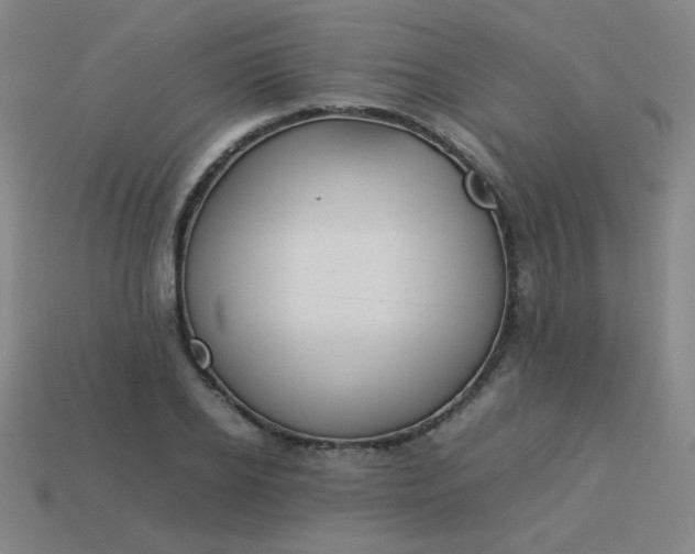 X0000114060934200910191458