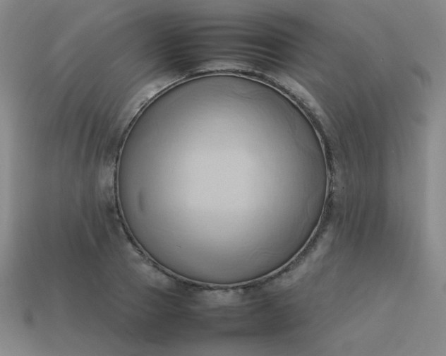 X0000114060937200910191458