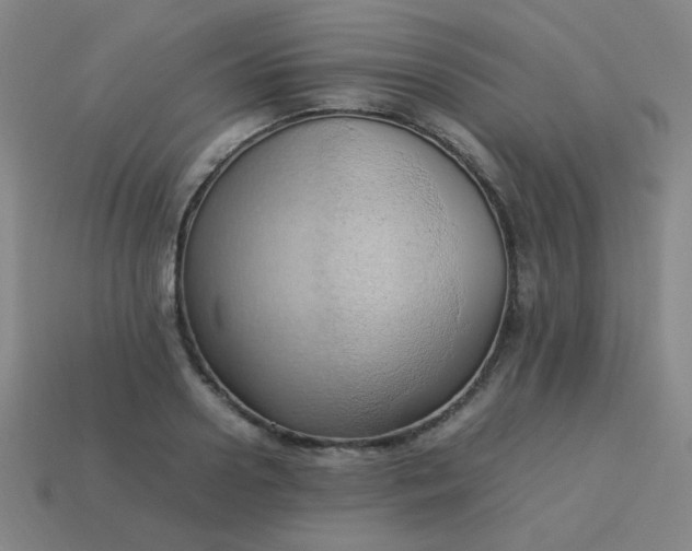 X0000114060938200910191458