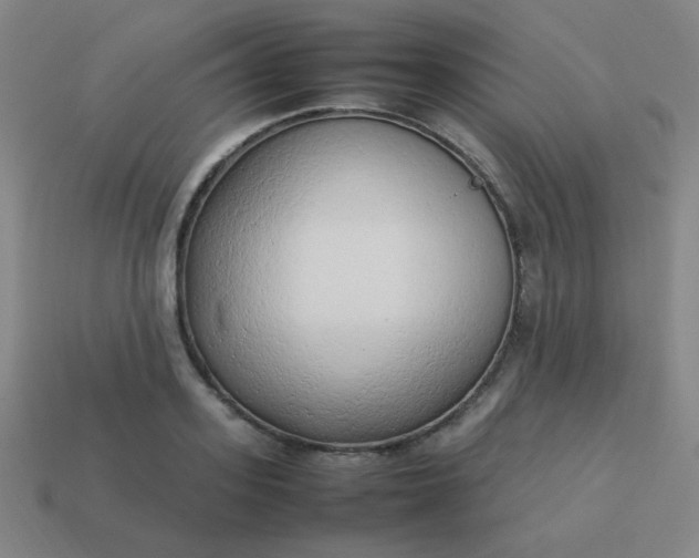 X0000114060939200910191458