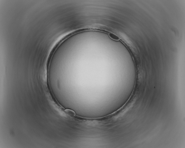 X0000114060940200910191458