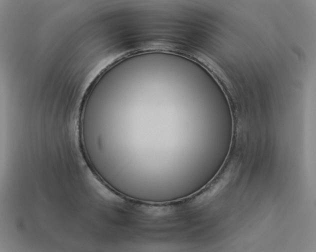 X0000114060941200910191458