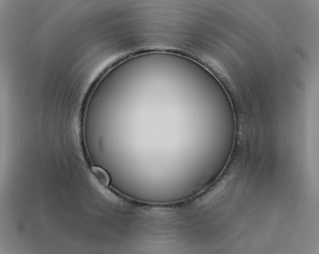 X0000114060942200910191458