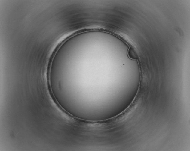 X0000114060943200910191458