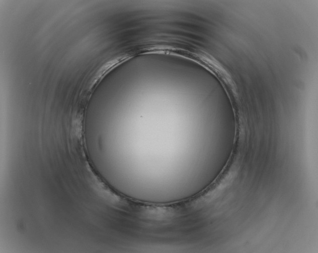 X0000114060945200910191458