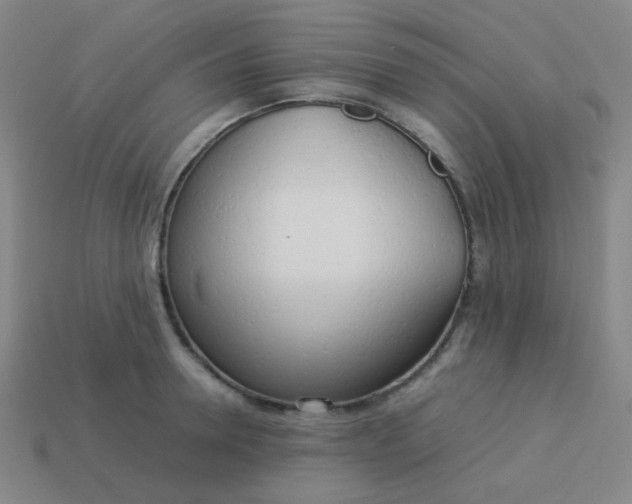 X0000114060946200910191458