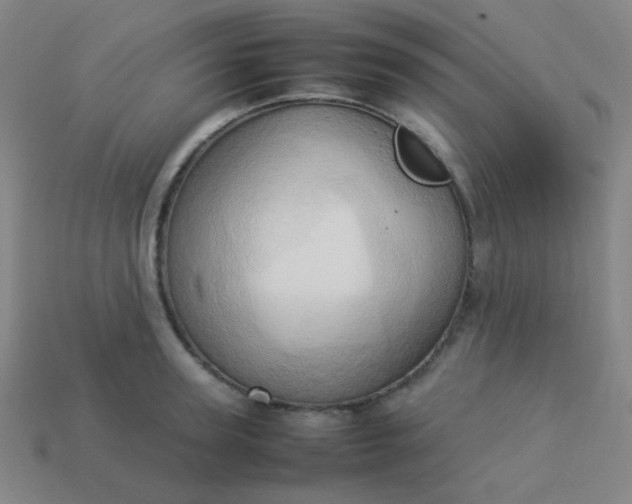 X0000114060947200910191458