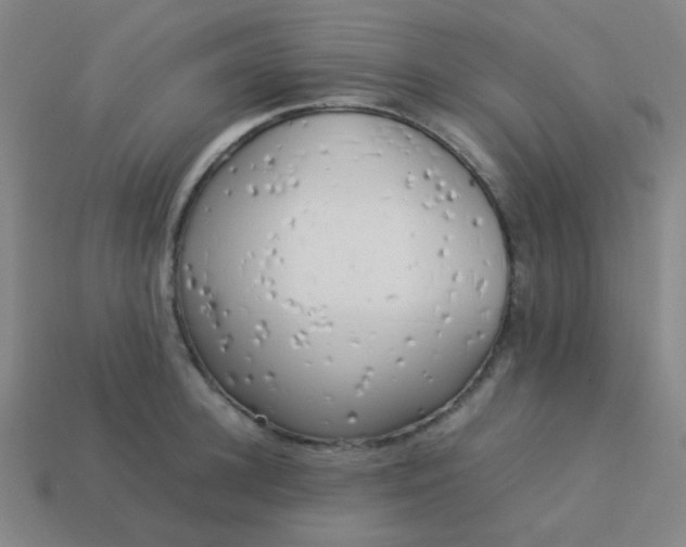 X0000114060948200910191458