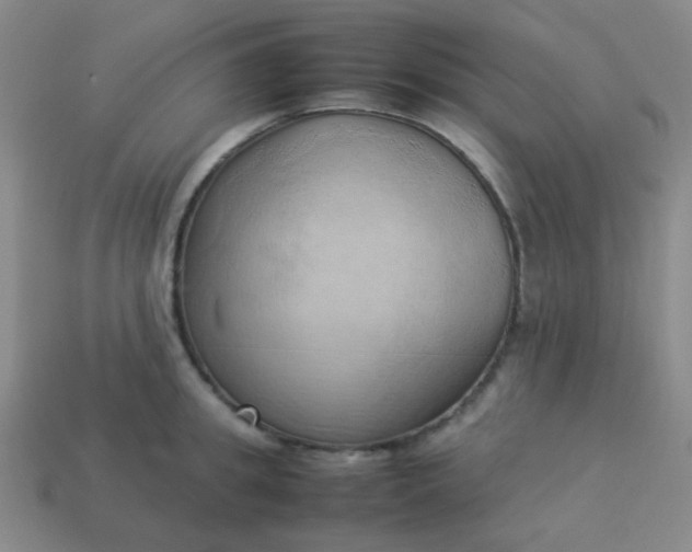 X0000114060949200910191458