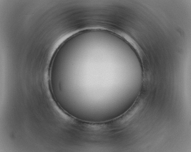 X0000114060951200910191458