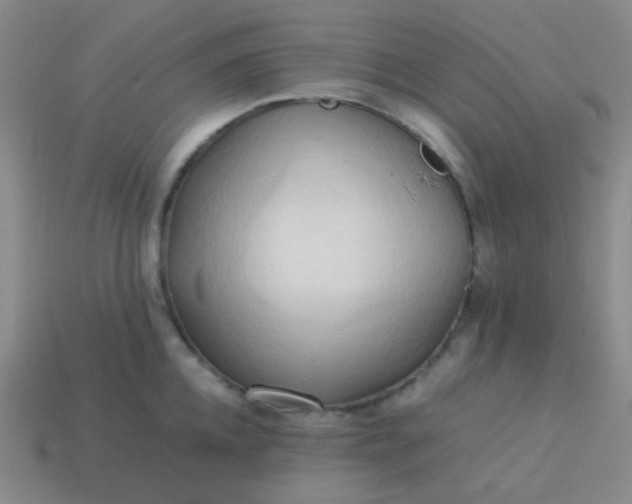 X0000114060952200910191458