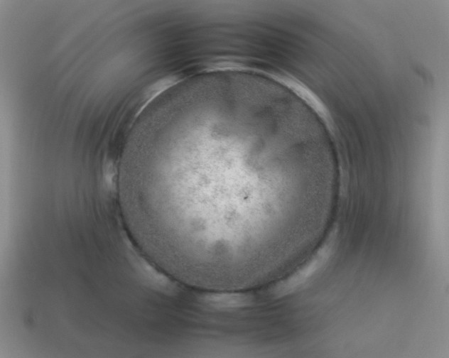 X0000114060953200910191458