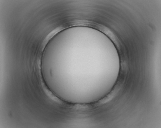 X0000114060954200910191458