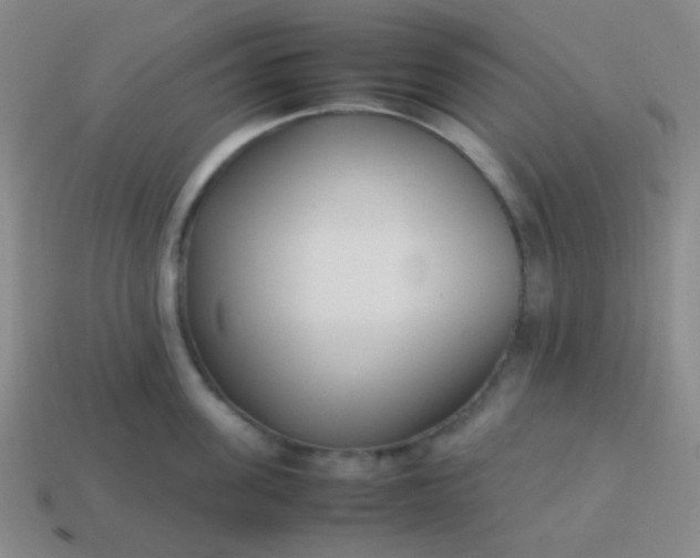 X0000114060955200910191458