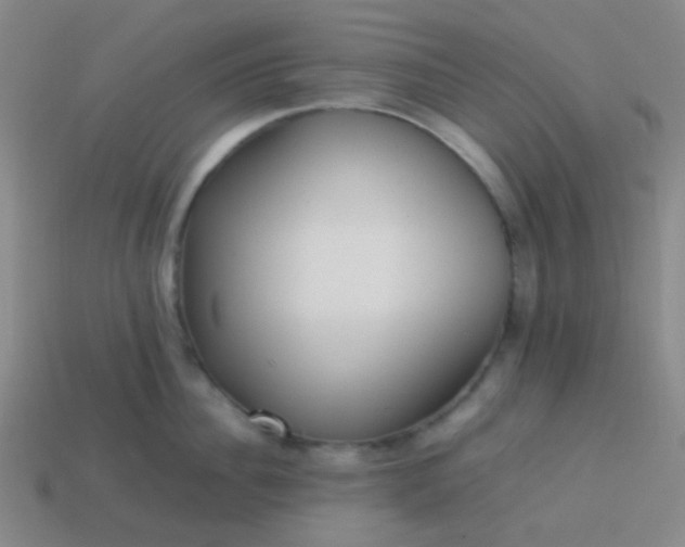 X0000114060956200910191458