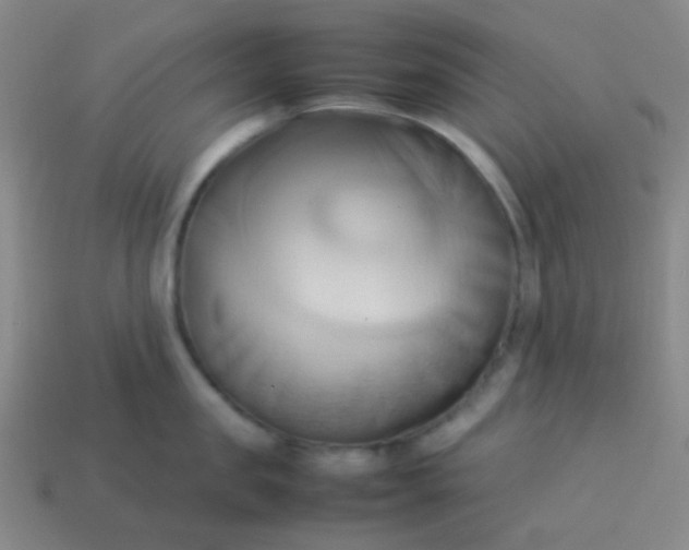 X0000114060957200910191458