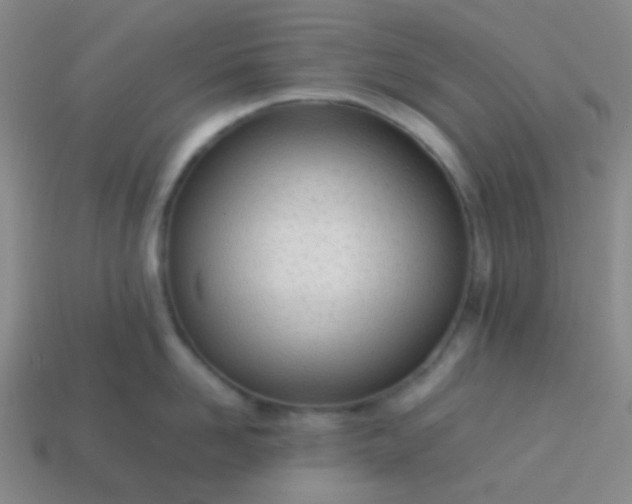 X0000114060958200910191458