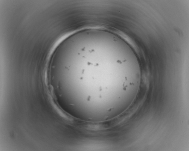 X0000114060959200910191458