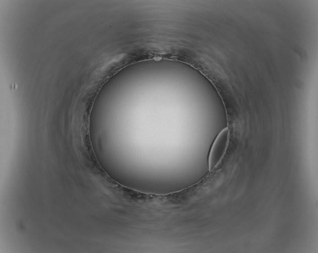 X0000114060961200910191458