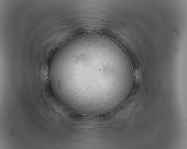 X0000114060963200910191458