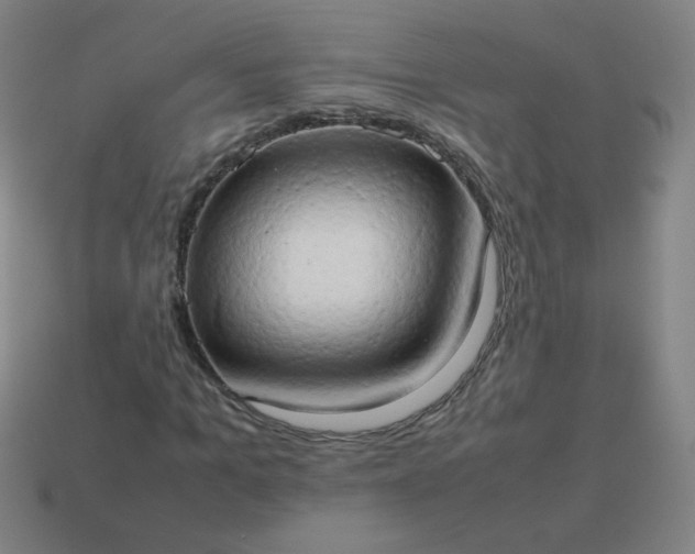 X0000114060965200910191458