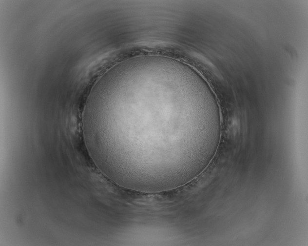 X0000114060966200910191458