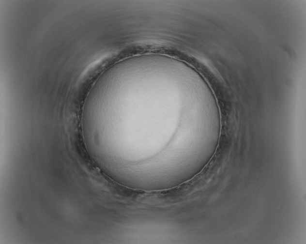 X0000114060967200910191458