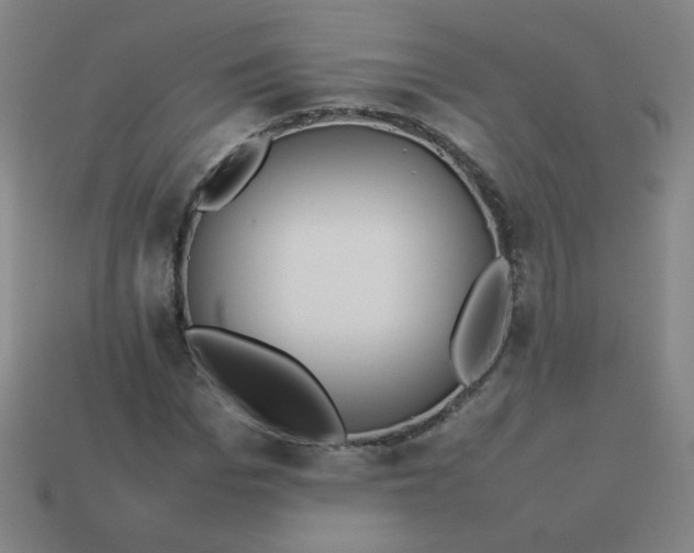 X0000114060969200910191458