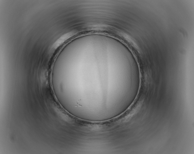 X0000114060970200910191458