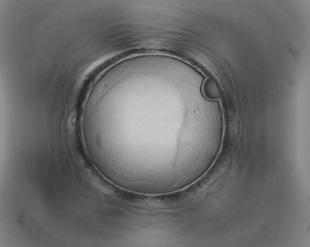 X0000114060971200910191458