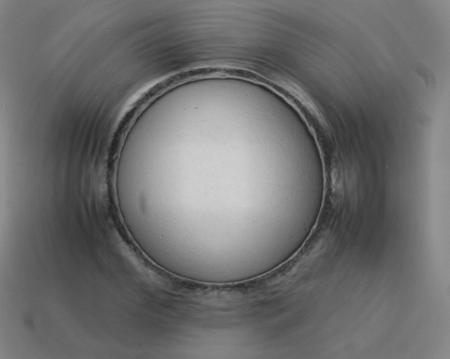 X0000114060972200910191458