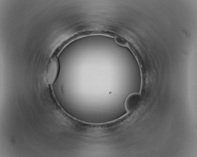 X0000114060973200910191458