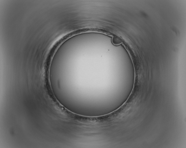 X0000114060975200910191457