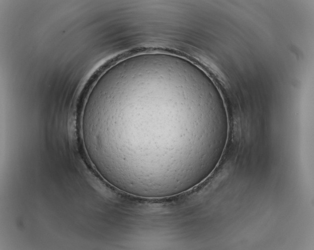 X0000114060976200910191457