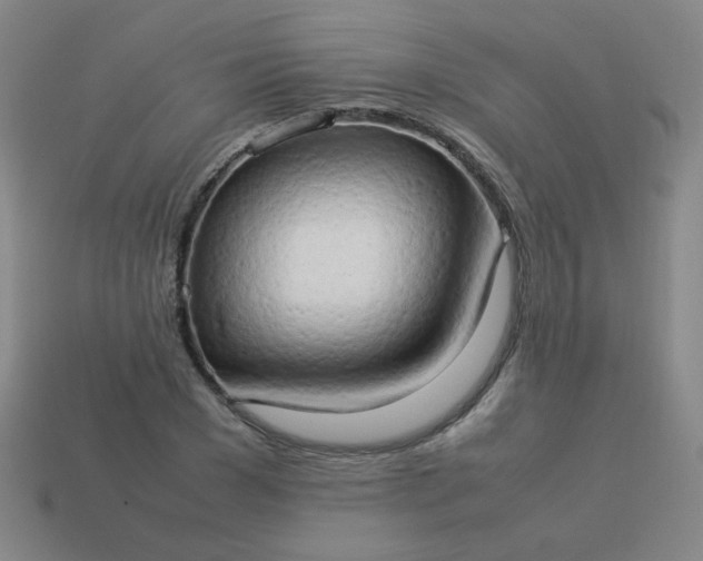 X0000114060977200910191457