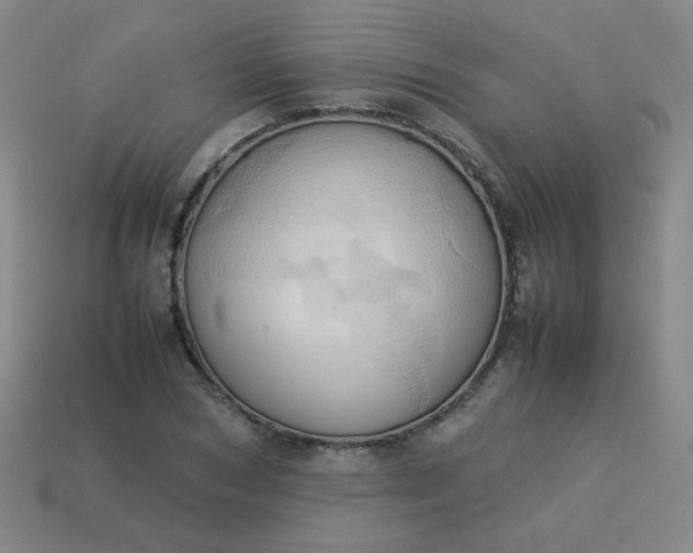 X0000114060978200910191457